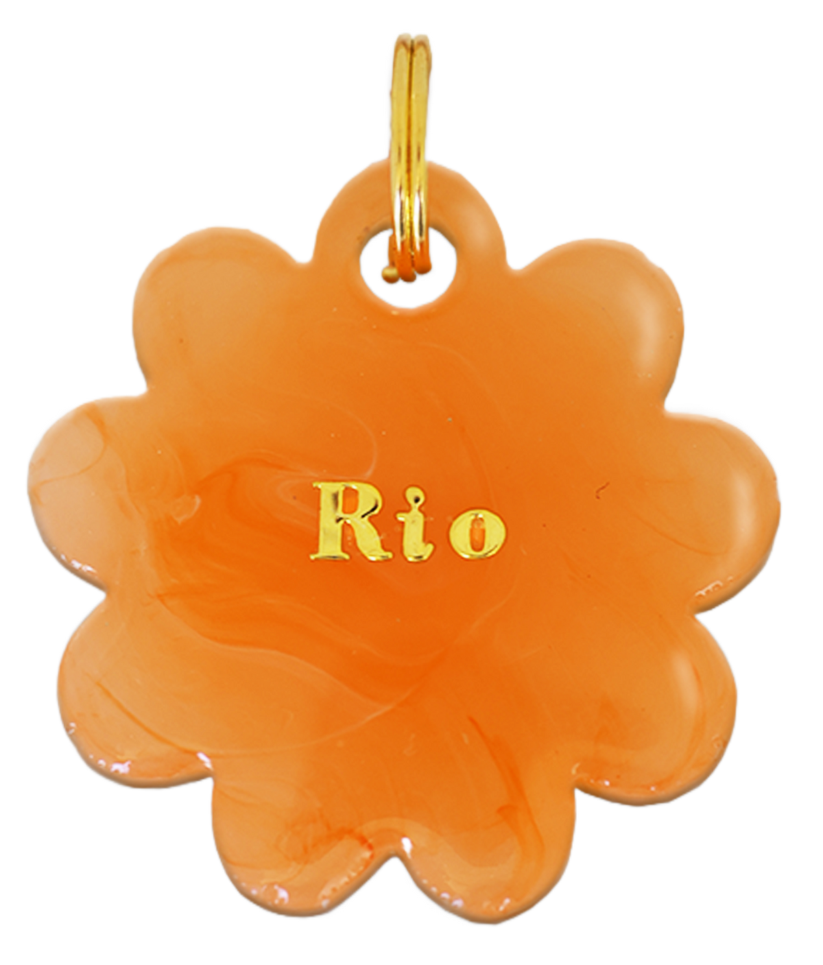 Fleur Rio (marguerite)