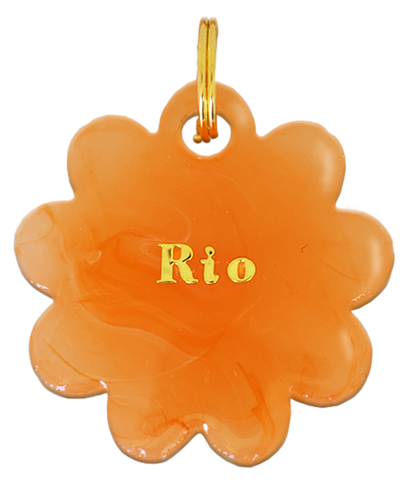 Fleur Rio (marguerite)