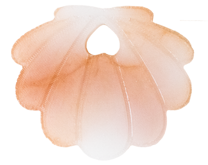 Coquillage