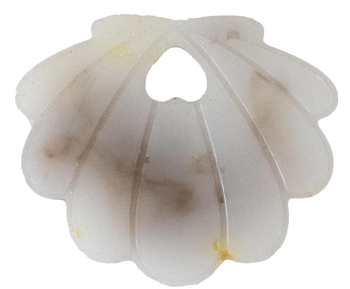 Coquillage