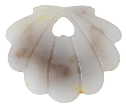 Coquillage