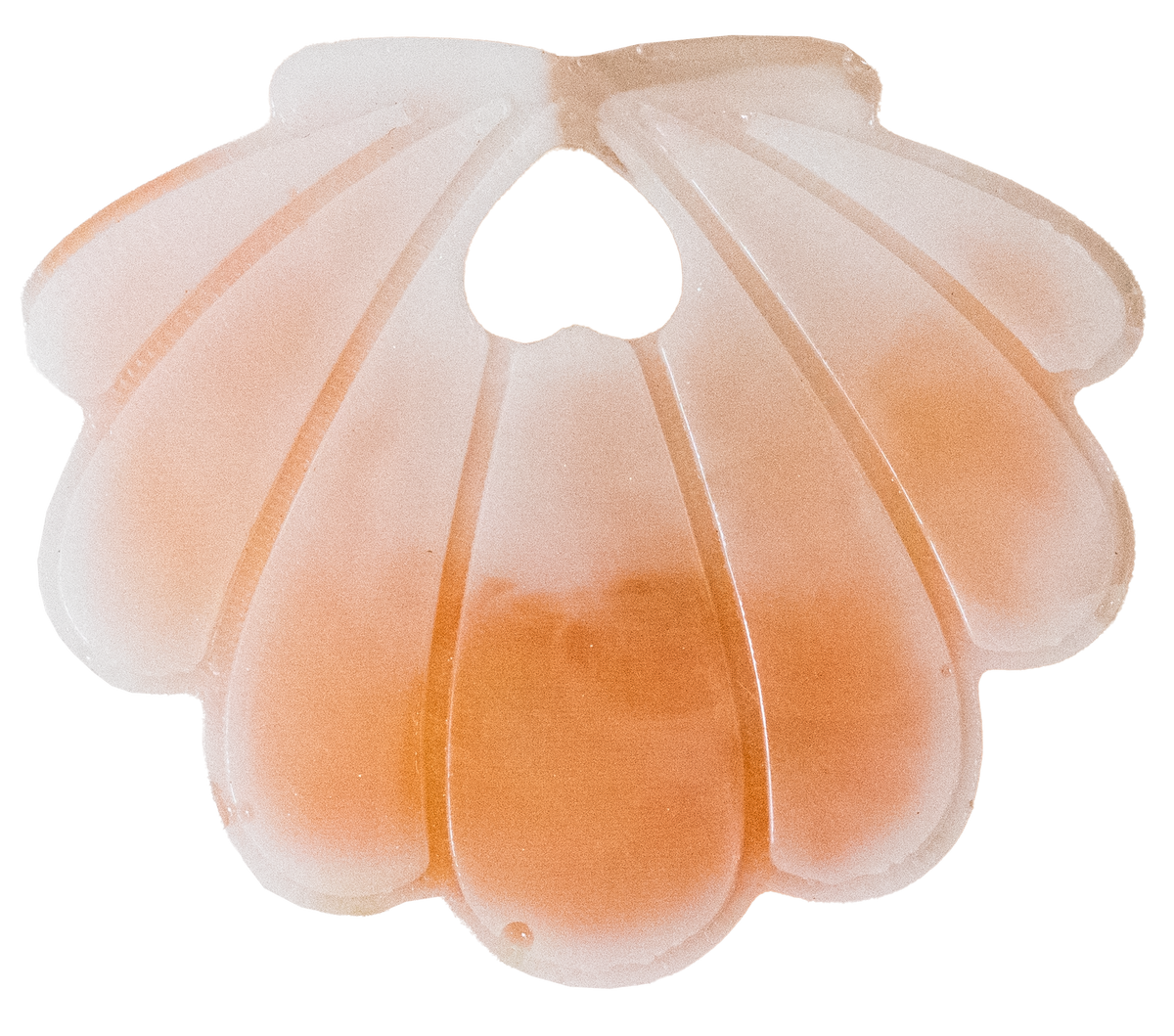 Coquillage