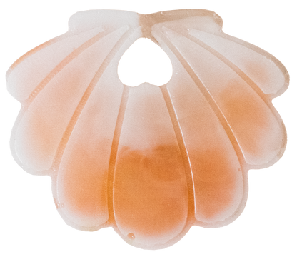 Coquillage